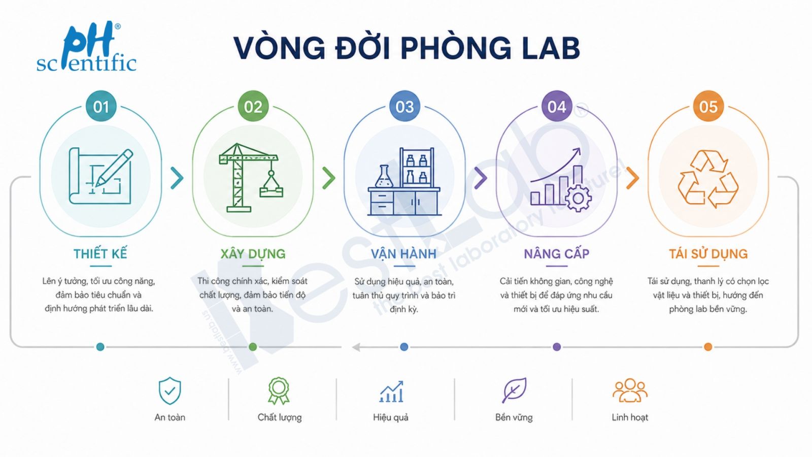 Vòng đời phòng lab