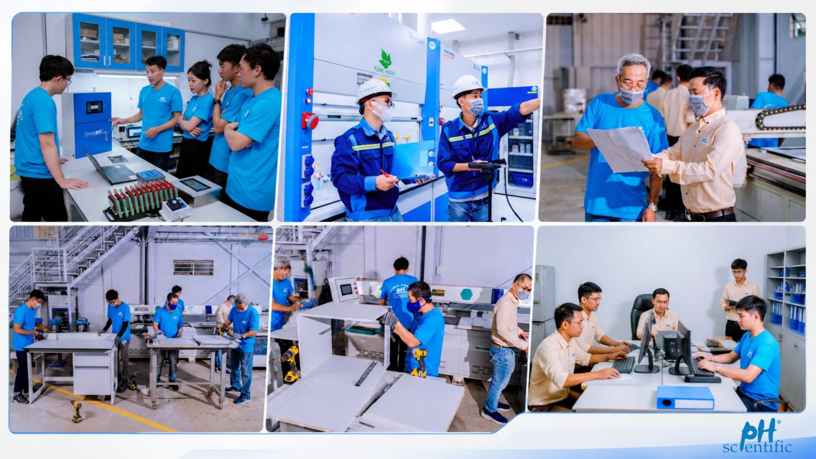 PHƯỢNG HẢI
