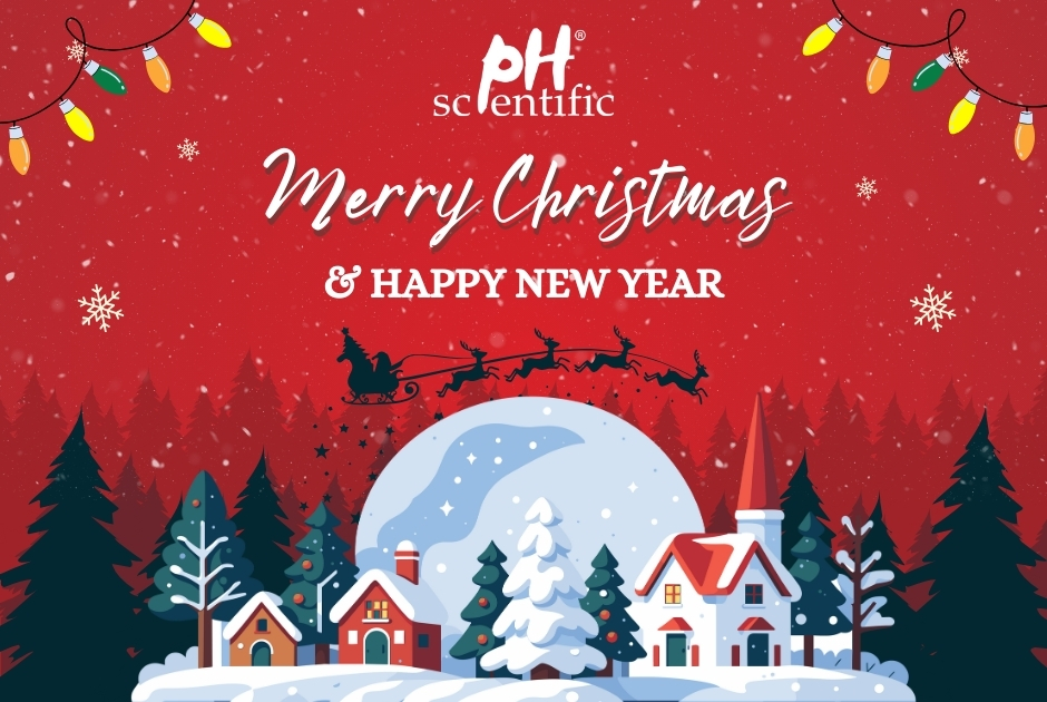 Merry Christmas 2024
